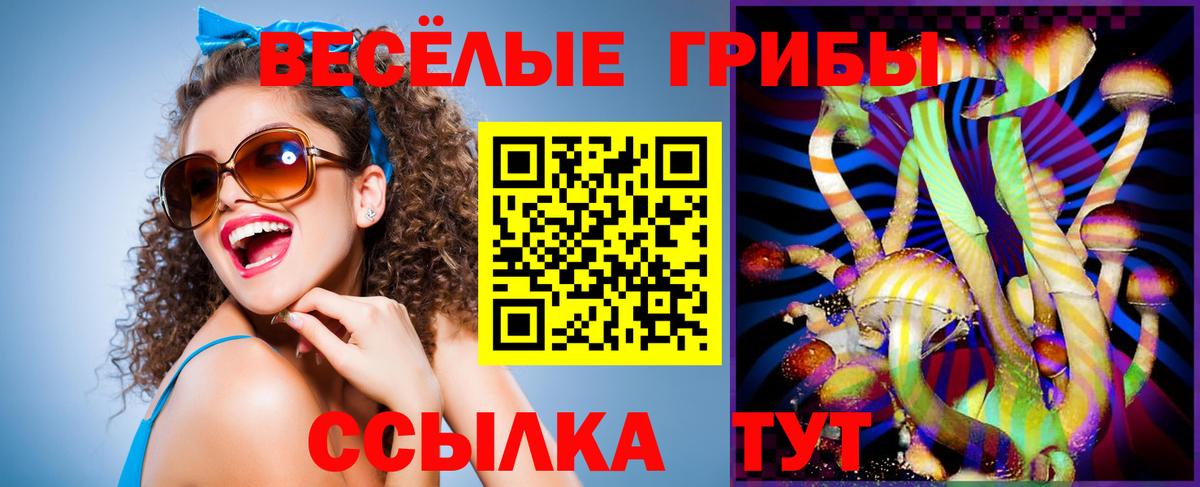 Псилоцибиновые грибы Magic Shrooms  Вход с VPN  Камень-на-Оби 