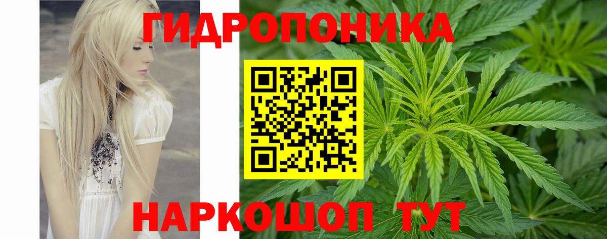 Камень-на-Оби  Конопля VHQ  Каннабис план  Вход с VPN 